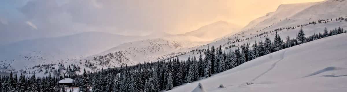 besneeuwd skigebied