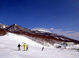 Amihari photo