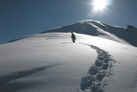 Braunwald photo