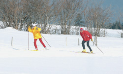 Les Prés-d'Orvin photo