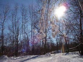 Yawgoo Valley photo