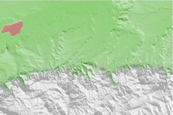 @{@location.name} neighbourhood basemap