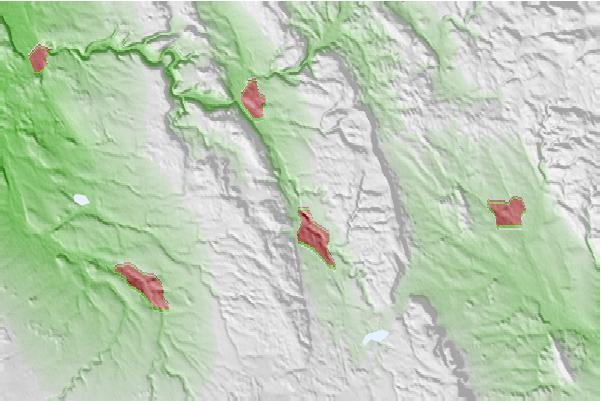 @{@location.name} neighbourhood basemap