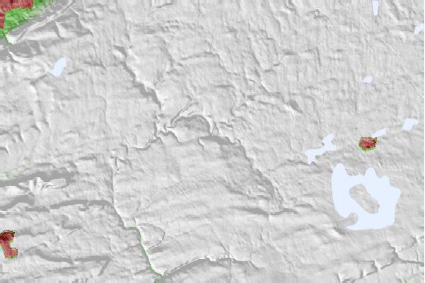 @{@location.name} neighbourhood basemap