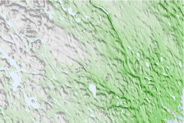 @{@location.name} neighbourhood basemap