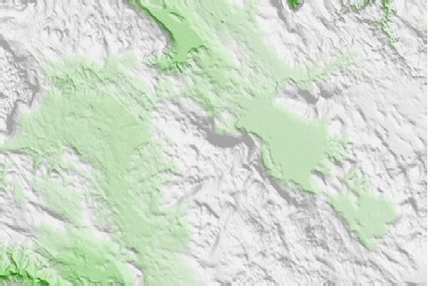 @{@location.name} neighbourhood basemap