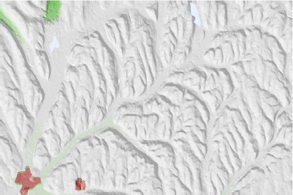 @{@location.name} neighbourhood basemap