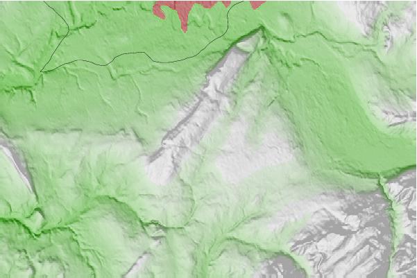 @{@location.name} neighbourhood basemap