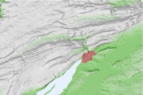 @{@location.name} neighbourhood basemap