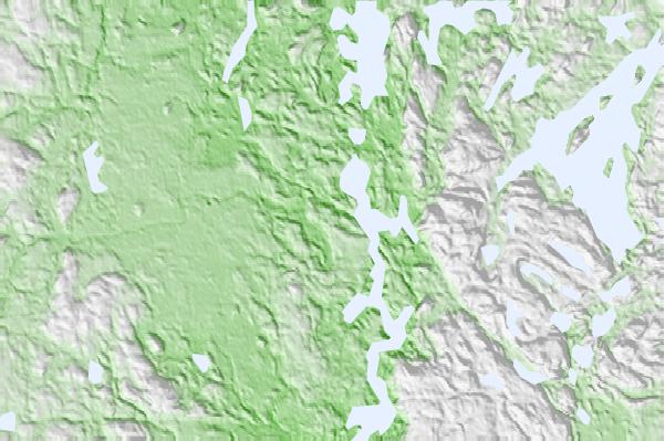 @{@location.name} neighbourhood basemap