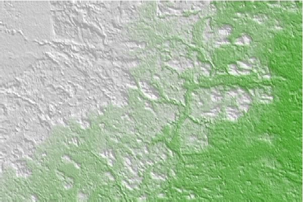 @{@location.name} neighbourhood basemap