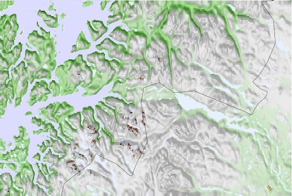 @{@location.name} neighbourhood basemap