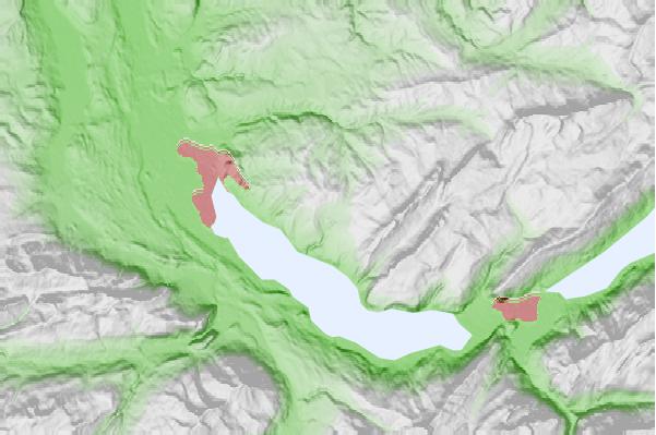 @{@location.name} neighbourhood basemap