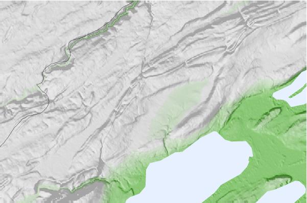 @{@location.name} neighbourhood basemap