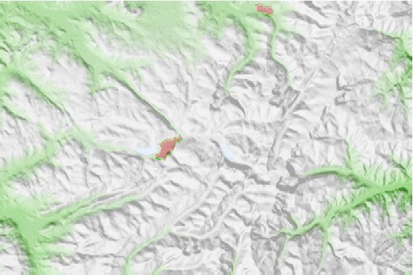 @{@location.name} neighbourhood basemap