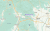 Local Map