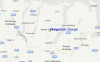Streetview Map