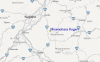 Local Map