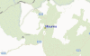 Streetview Map