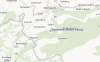 Streetview Map