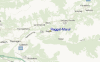 Streetview Map